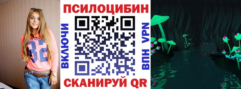 hydra ссылка  купить закладку  Томилино  Галлюциногенные грибы GOLDEN TEACHER 